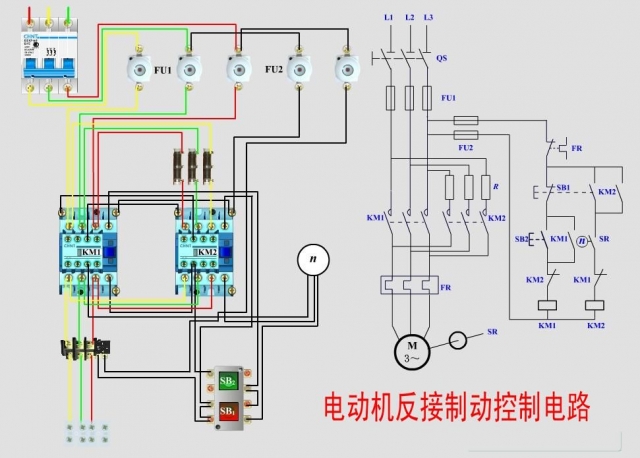 常用電動機(jī)控制實物接線圖+原理圖(圖4)