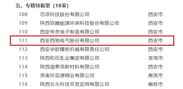 西馳電氣，同時(shí)捧回兩項(xiàng)省級(jí)榮譽(yù)(圖2)